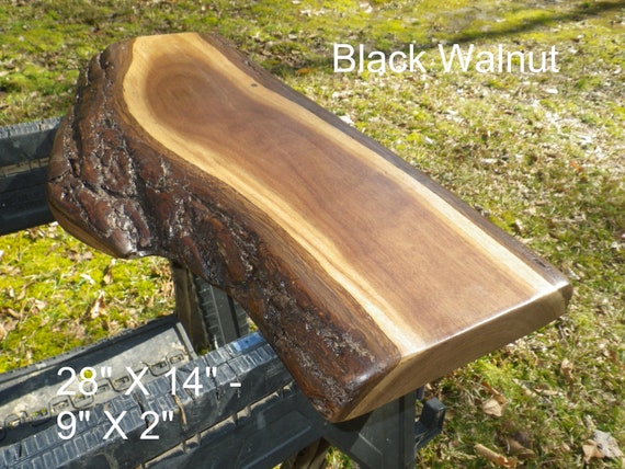 Live Edge Black Walnut Solid Wood Slab Finished Natural Edge Etsy