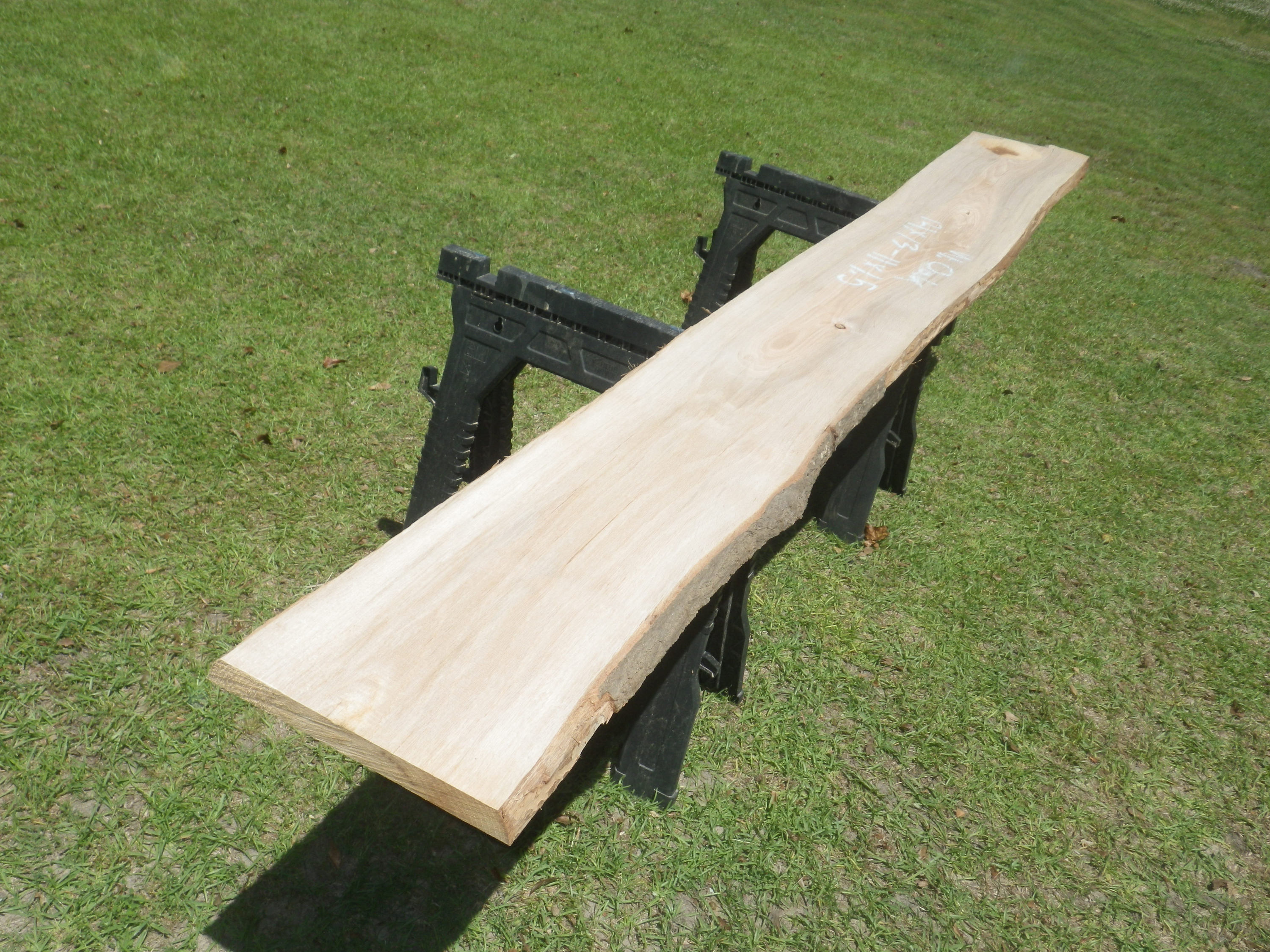 UNFINISHED Live Edge Water Oak Wood Slab Live Edge Raw Slab Etsy