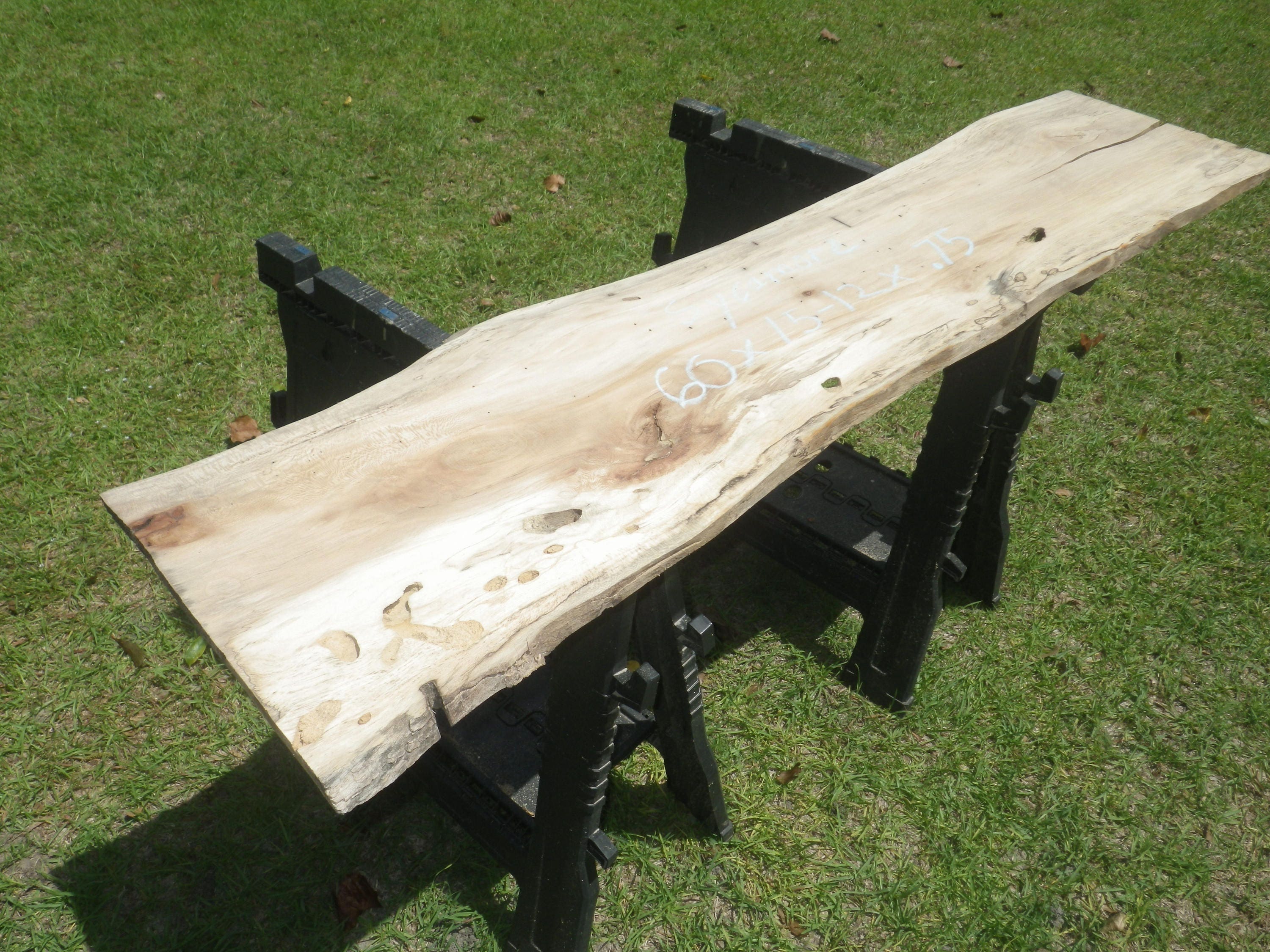 UNFINISHED Live Edge Spalted Sycamore Wood Slab Live Edge Raw Etsy