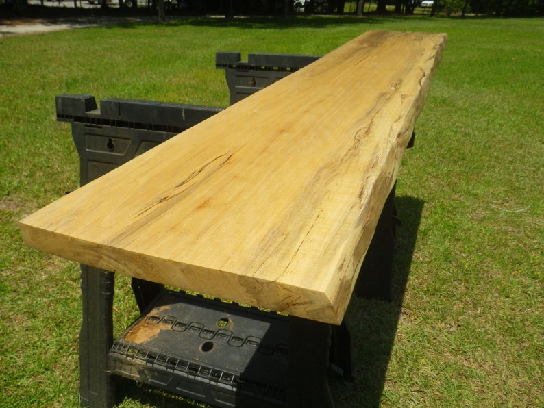Live Edge Sycamor Solid Finished Wood Slab Diy Floating Shelf Etsy