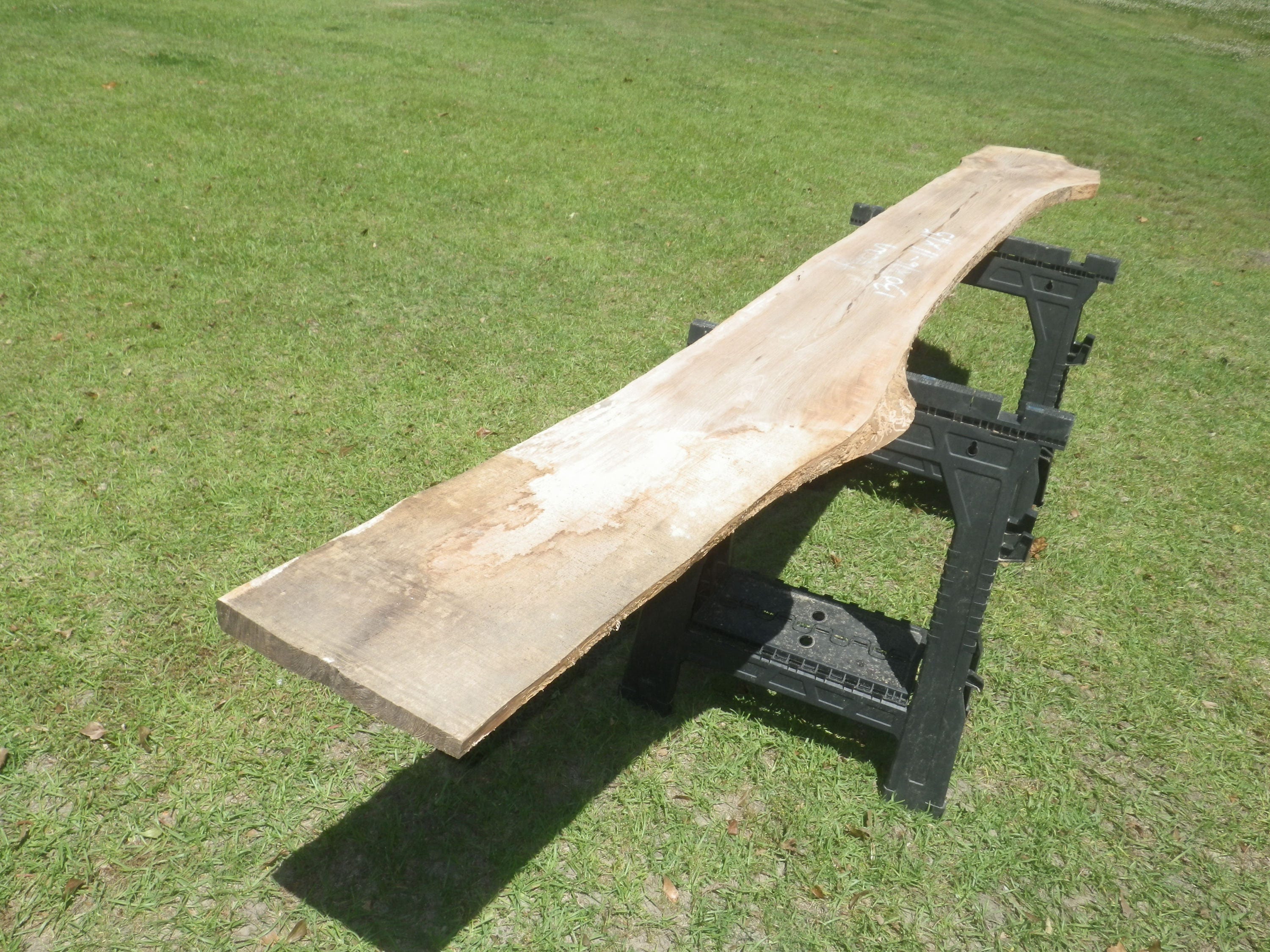 UNFINISHED Live Edge Pecan Wood Slab Live Edge Raw Slab Etsy