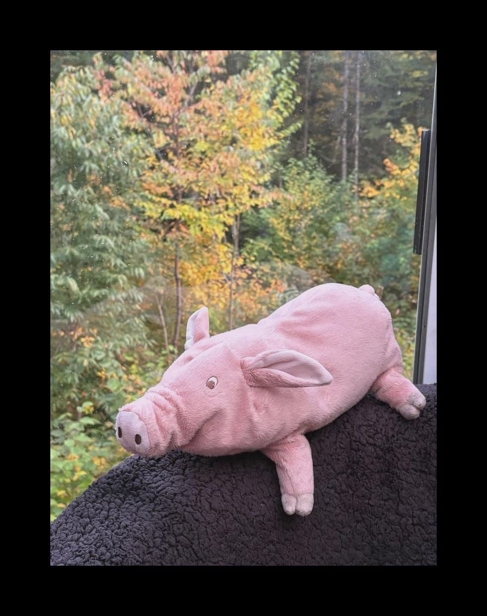 Olivia the pig - Etsy 日本