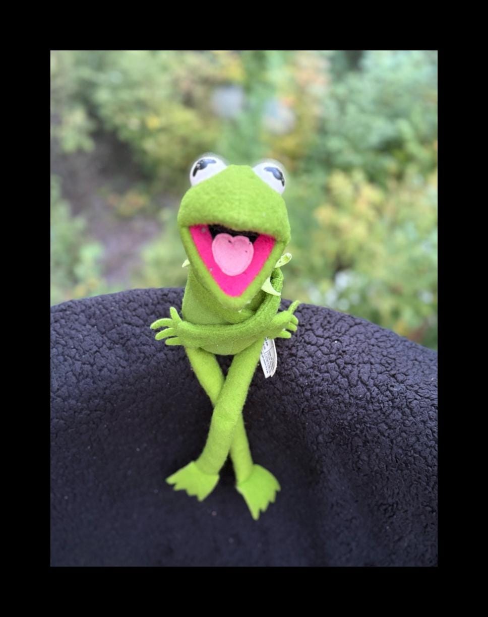 1976 Kermit the Frog - Etsy