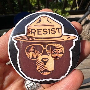 May include: Round button featuring a brown bear wearing a ranger hat with the word "RESIST" and sunglasses reflecting mountain and desert scenes. The button has a black background with a white border.