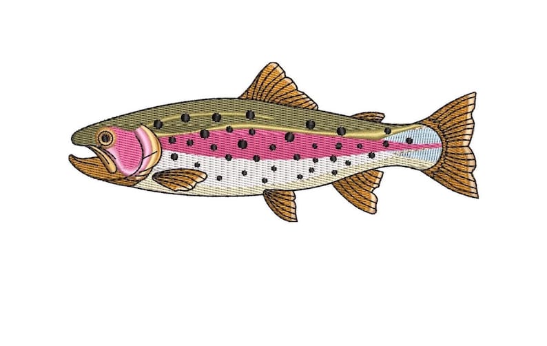 K&ouml;nnte beinhalten: Ein gestickter Aufn&auml;her einer Regenbogenforelle. Der Fisch hat einen dunkelolivgr&uuml;nen R&uuml;cken, einen leuchtend rosa horizontalen Streifen an der Seite und einen wei&szlig;en Bauch. Der K&ouml;rper ist mit kleinen schwarzen Punkten bedeckt, mit beigen Flossen.