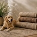 DECORTHERUGS