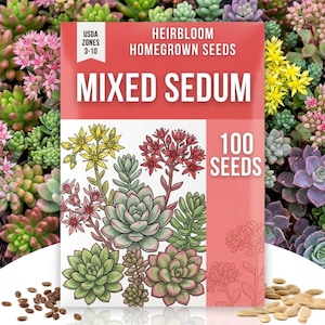 foxglove seed planting growth chart Foxglove Seeds | Purple main image 1