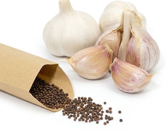 100 Elephant Garlic Seeds for Planting, Large Garlic Bulbs