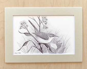 ORIGINAL bird art — Bewick’s Wren in black pen, 5” x 3.5” inside of frame
