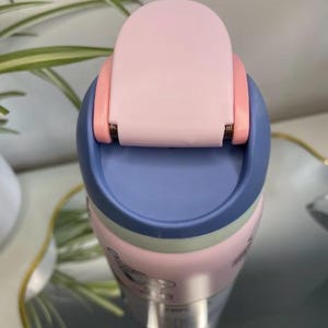 K&ouml;nnte beinhalten: Nahaufnahme einer bunten Wasserflasche. Der Deckel ist hellrosa mit blauem Rand und einem rosa Scharnier. Der Flaschenk&ouml;rper ist rosa mit einem hellgr&uuml;nen Band und einem silbernen Boden. Die Flasche hat ein Cartoon-Design.