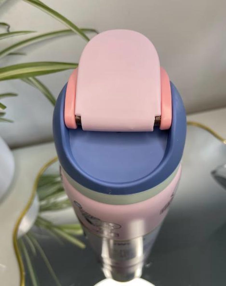 K&ouml;nnte beinhalten: Nahaufnahme einer bunten Wasserflasche. Der Deckel ist hellrosa mit blauem Rand und einem rosa Scharnier. Der Flaschenk&ouml;rper ist rosa mit einem hellgr&uuml;nen Band und einem silbernen Boden. Die Flasche hat ein Cartoon-Design.