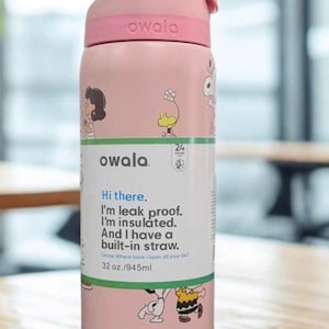 May include: A pink Owala water bottle with a flip-top lid, featuring cartoon characters. The bottle has a white label with the text "Hi there. I'm leak proof. I'm insulated. And I have a built-in straw." It holds 32 oz.