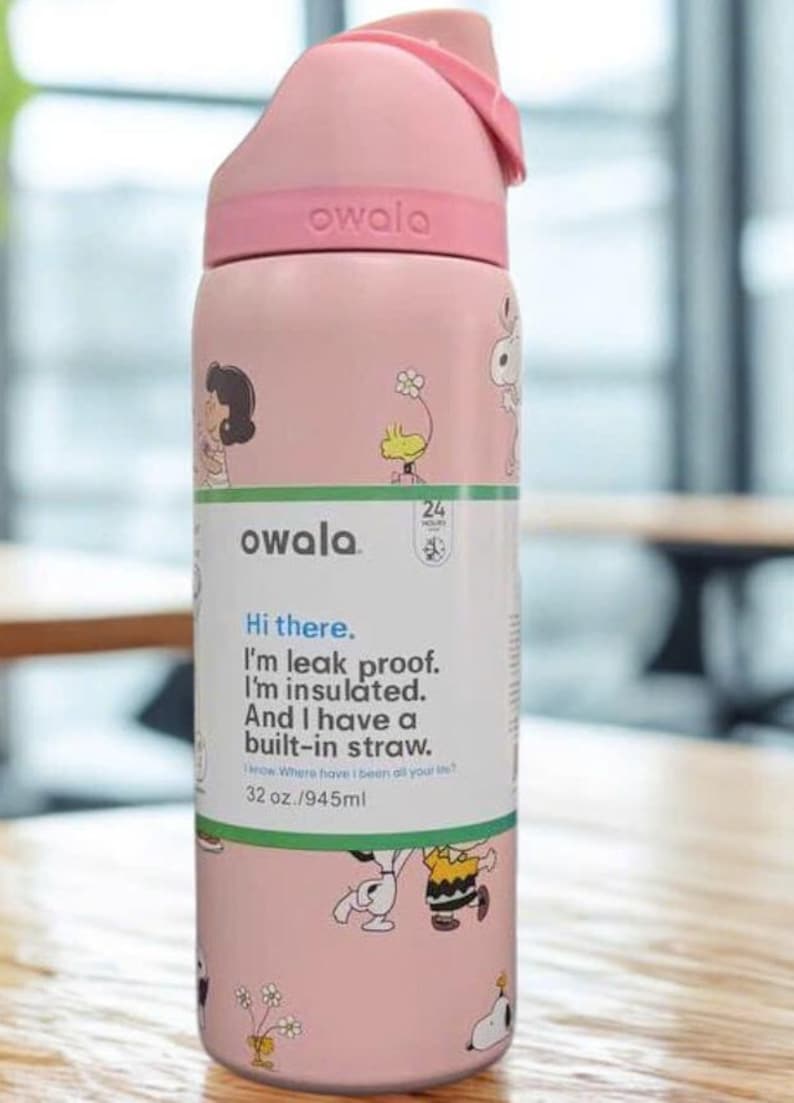 May include: A pink Owala water bottle with a flip-top lid, featuring cartoon characters. The bottle has a white label with the text "Hi there. I'm leak proof. I'm insulated. And I have a built-in straw." It holds 32 oz.