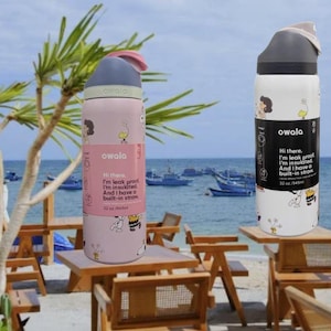K&ouml;nnte beinhalten: Zwei isolierte Owala-Wasserflaschen, eine rosa und eine wei&szlig;e, mit Cartoon-Charakteren. Die rosa Flasche tr&auml;gt den Text: "Hi there. I'm leak proof. I'm insulated. And I have a built-in straw. 945ml". Die wei&szlig;e Flasche hat den gleichen Text.