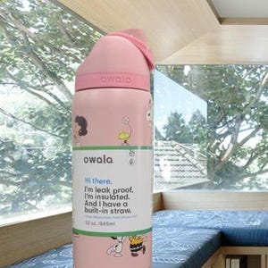 K&ouml;nnte beinhalten: Eine rosa Owala-Wasserflasche mit Klappdeckel und eingebautem Strohhalm. Die Flasche zeigt Illustrationen von Zeichentrickfiguren und Text. Sie fasst 945 ml. Der Text lautet: &bdquo;Hallo. Ich bin auslaufsicher. Ich bin isoliert. Und ich habe einen eingebauten Strohhalm.&ldquo;