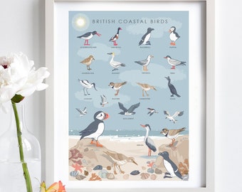 Coastal Birds Wall Art Print, Nature Poster of British Coastal Bird, Coastal Print