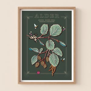 Stampa artistica da parete con albero di ontano