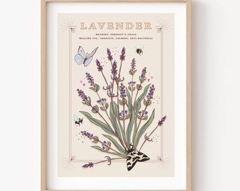 Może przedstawiać: Botaniczna ilustracja lawendy z tekstem "LAVENDER" w stylu vintage. Ilustracja przedstawia bukiet kwiatów lawendy, motyla, pszczoły i ćmę. Tekst pod ilustracją brzmi "MEANING: Serenity & Grace" i "HEALING USE: Sedative, Calming, Anti-Bacterial."