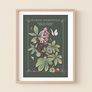Horse Chestnut Tree Wall Art Print