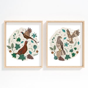 Set of 2 Woodland Birds Prints, Grouse and Pheasant, Buzzard and Tawny Owl Wall Art