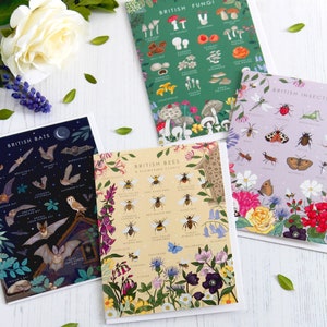 Lot de 4 cartes British Nature Guide, carte abeilles, carte insectes, carte champignons, carte chauves-souris