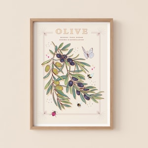 Könnte beinhalten: Eine botanische Illustration eines Olivenzweigs mit grünen Blättern und schwarzen Oliven. Der Zweig ist von kleinen rosa Herzen, einem weißen Schmetterling und zwei Bienen umgeben. Der Text "OLIVE" befindet sich oben im Bild, darunter die Worte "BEDEUTUNG: FRIEDEN, WEISHEIT, ERNEUERUNG UND VERSÖHNUNG".