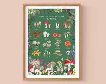 May include: An illustrated poster titled "British Mushrooms & Fungi" featuring a grid of 20 different types of mushrooms and fungi. Each mushroom is labelled with its common name.