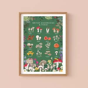 Cartel de setas y hongos, arte botánico de la pared, impresión de guía de la naturaleza, cartel de observadores de vida silvestre imagen 1