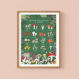 Póster de hongos y setas, arte mural botánico, impresión de guía de la naturaleza, póster de observadores de vida silvestre