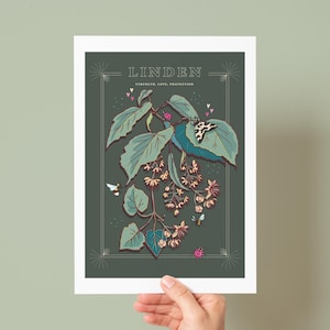 May include: A botanical art print featuring the word "LINDEN" at the top. The illustration depicts a linden tree branch with green leaves, small pink flowers, and butterflies. The words "STRENGTH, LOVE, PROTECTION" are also included.