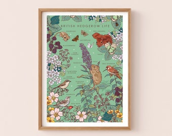 Hedgerow Life Wall Art Print, Nature Poster of British Hedgerow Life, Wild Flowers and Animals
