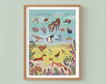 Moorland Life Wall Art Print, Nature Poster of British Moorland Birds and Animals