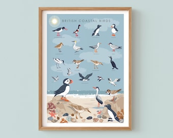 Coastal Birds Wall Art Print, Nature Poster of British Coastal Bird, Coastal Print