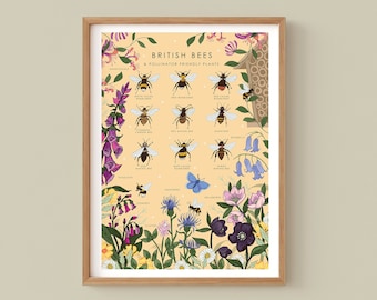 Bees Poster, Bumble bees and Pollinator Friendly Wildflowers Print, British Bees Nature Guide Botanical Print