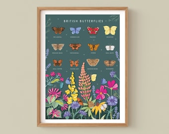Butterflies Wall Art Print, Nature Poster of British Butterflies