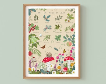Toadstools & Leaves Print, British Trees Nature Guide Nursery Wall Art