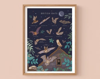 Vleermuizenprint, Britse vleermuizen natuurgids muurkunst