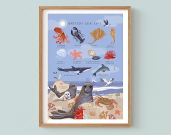 Sea Life Poster, Ocean Life Print, Wildlife Illustration, Nature Guide Wall Art