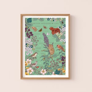 Hedgerow Life Wall Art Print, natuurposter van British Hedgerow Life, wilde bloemen en dieren