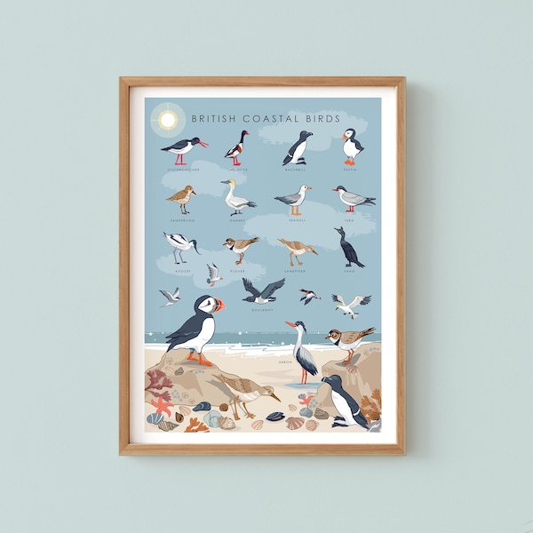 Coastal Birds Wall Art Print, Nature Poster of British Coastal Bird, Coastal Print