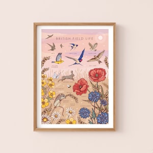 Könnte beinhalten: Ein illustrierter Druck, der das britische Landleben mit einer Vielzahl von Flora und Fauna darstellt. Der Druck zeigt eine Mohnblume, Kornblume, Margerite, Hahnenfuß, Weizen, einen Feldhasen, eine Feldmaus, einen Goldammer, eine Schwalbe, einen Mauersegler, eine Schleiereule und eine Feldlerche. Der Druck ist vor einem rosa und orangefarbenen Sonnenuntergangshimmel platziert.