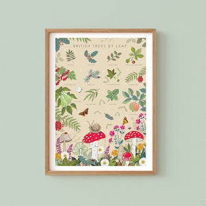 Stampa di funghi e foglie, guida naturalistica agli alberi britannici, decorazione da parete per cameretta dei bambini