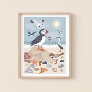 Puffin and Seabirds Wall Art Print, Coastal Birds Illustration Print