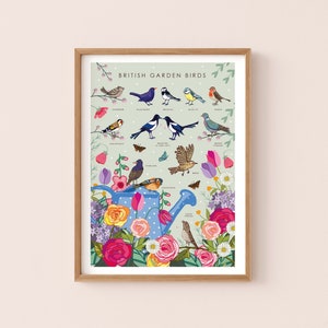 Lámina de arte mural de pájaros de jardín, póster de naturaleza de aves británicas