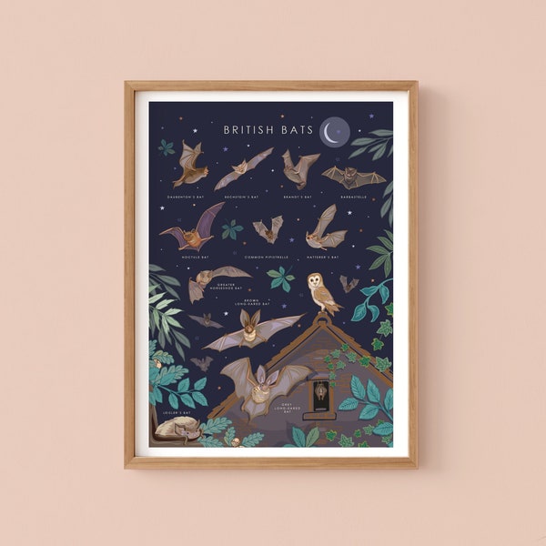 Bats Print, British Bats Nature Guide Wall Art