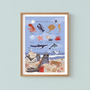 Poster sulla vita marina, stampa sulla vita oceanica, illustrazione della fauna selvatica, guida naturalistica da parete