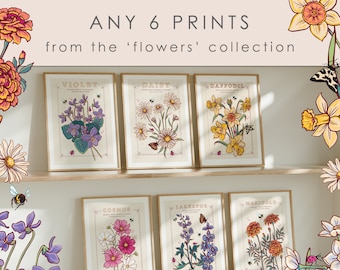 Any 6 Wall Art Prints, Set of 6 Multi Buy Birth Flowers Prints