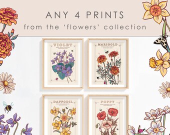 May include: Four botanical prints featuring illustrations of a violet, marigold, daffodil, and poppy. Each print has a white background with a brown frame and the flower's name in a vintage font.