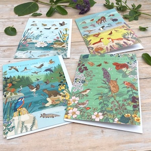Set mit 4 britischen Naturführerkarten, Heckenleben, Moorlandleben, Teichleben und Seeleben