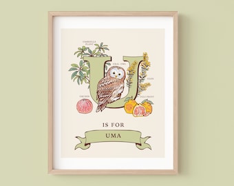May include: A green letter U with illustrations of a Ural owl, a Ulex plant, an Umbrella plant, an orange fruit, and a sea urchin. The text "IS FOR UMA" is below the letter.